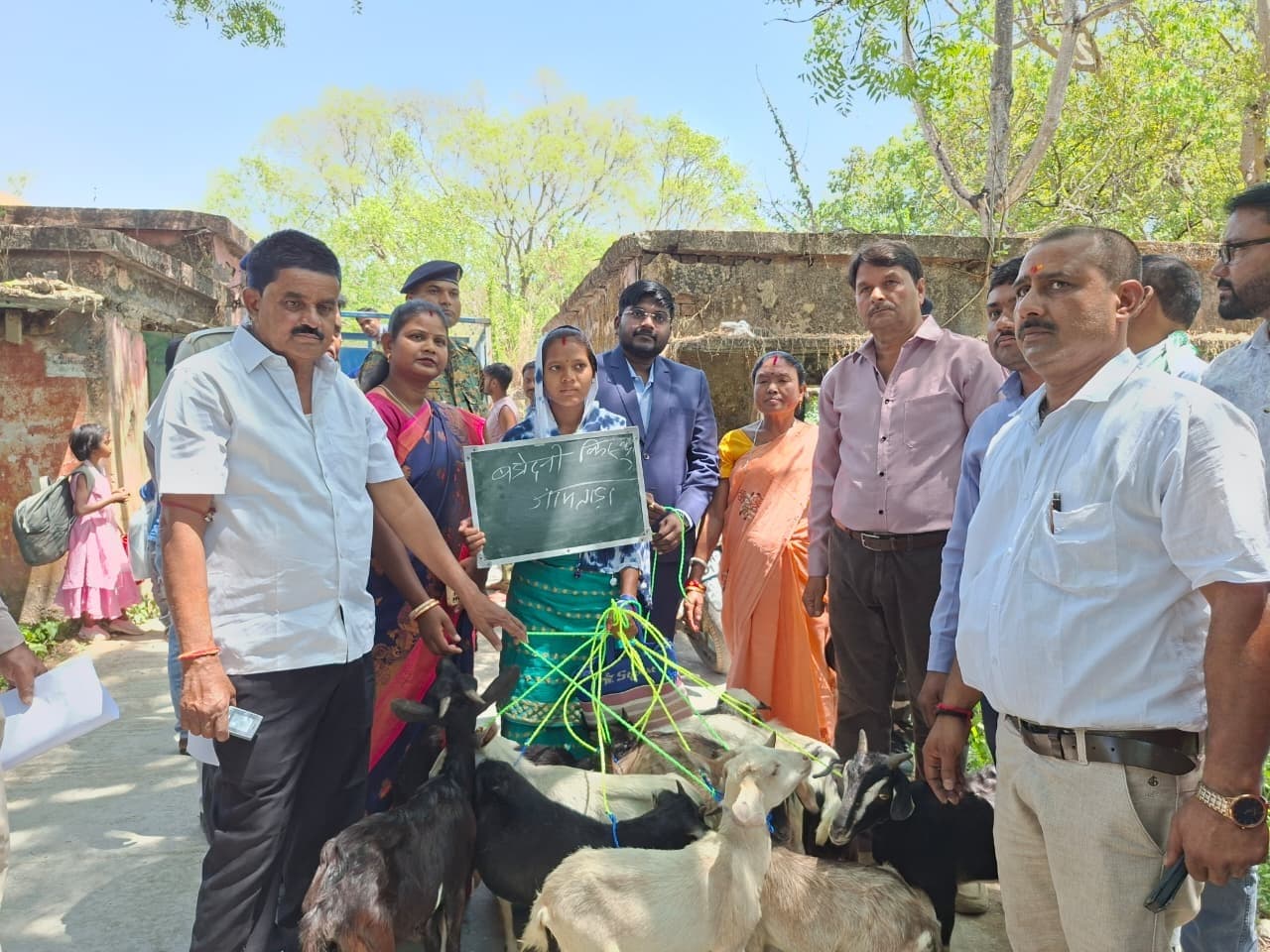 भेड़, बकरा व सुकर का बेहतर ढंग करें पालन : डीसी