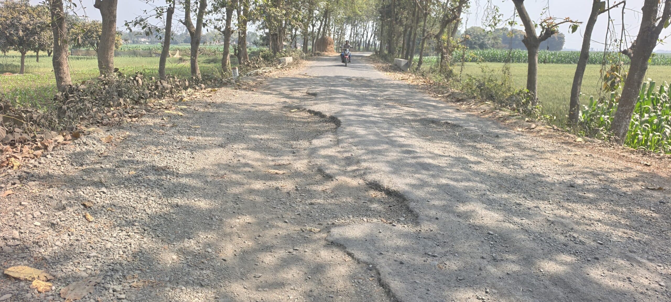 आजमनगर कुशिदा मुख्य सड़क जर्जर, लोगों को आवागमन में परेशानी