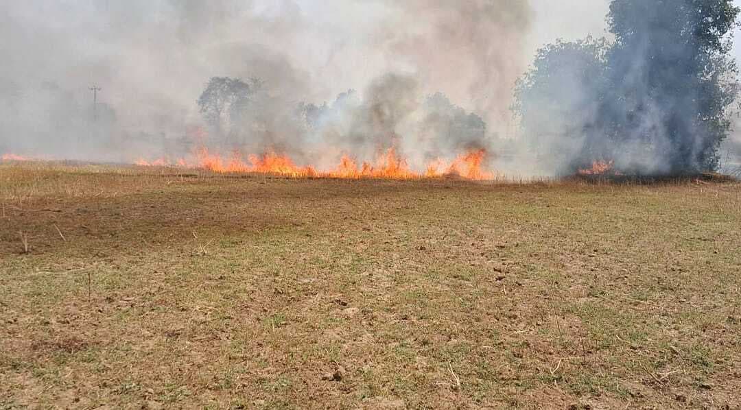 अगलगी में 17 बीघा गेहूं की फसल जलकर राख