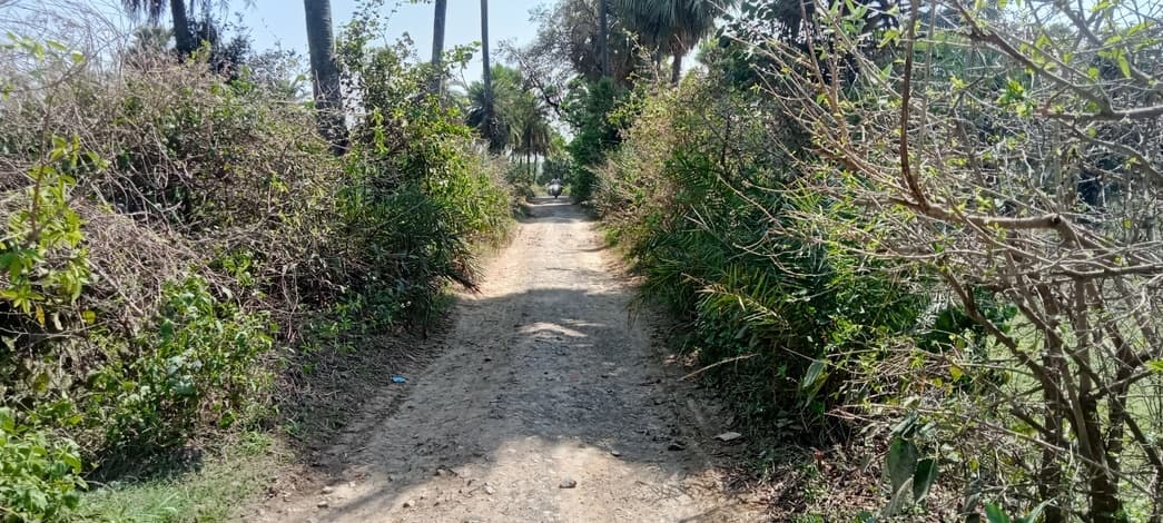 चजोरा-धरणीचक मार्ग की सड़क जर्जर, ग्रामीण परेशान