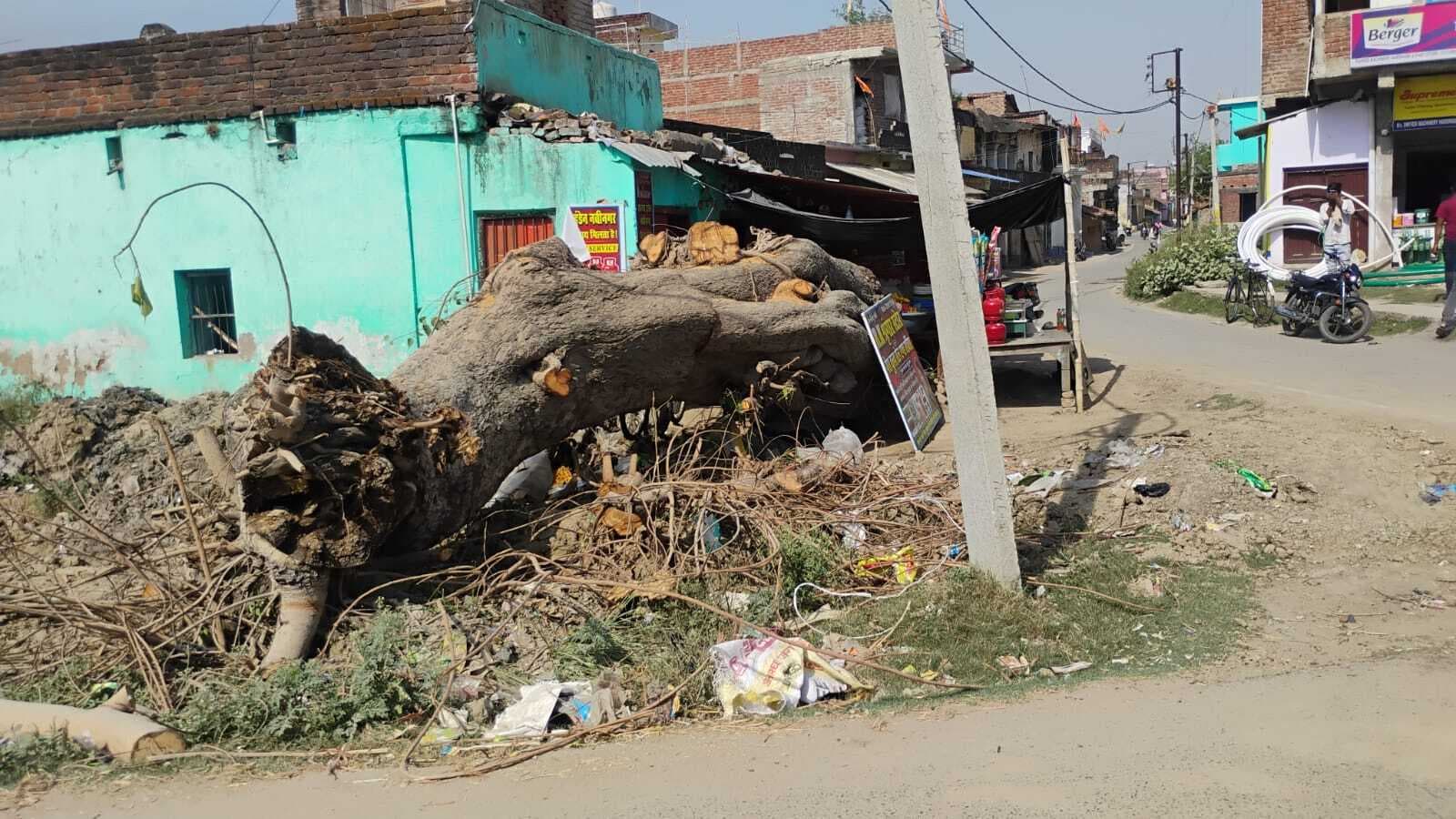 Aurangabad News : कुटुंबा थाने के करीब में स्थित पीपल के पेड़ की कटाई पर बवाल, लोगों ने जताया विरोध