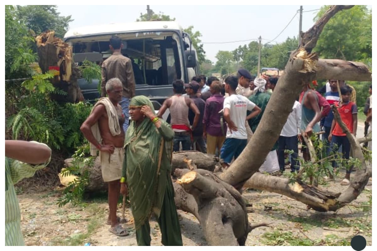 दरभंगा: अनियंत्रित बस ने पेड़ को मारी टक्कर, चालक समेत कई यात्री घायल
