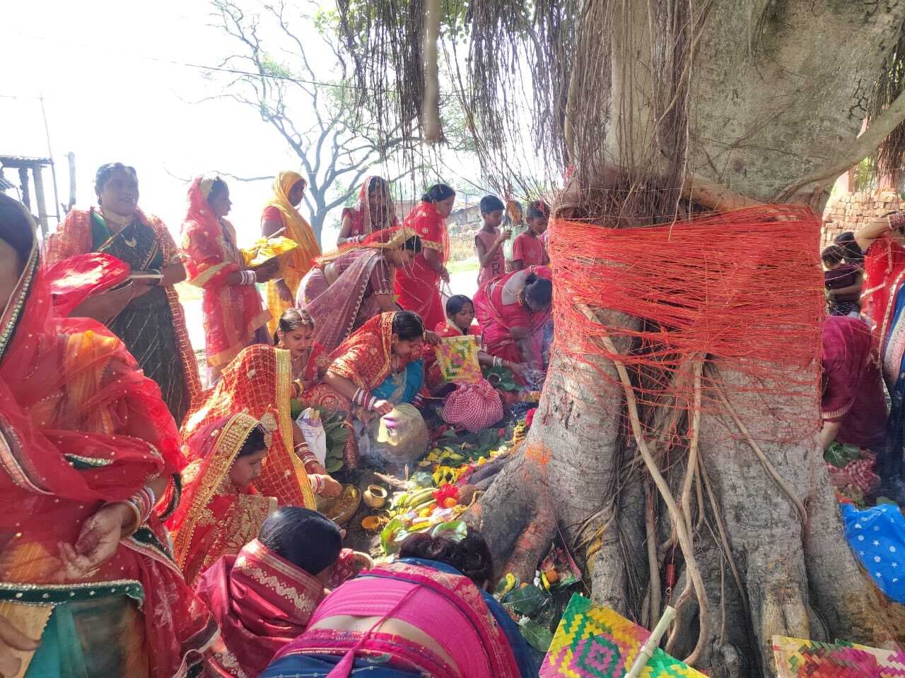 Bhagalpur news सुहागिन महिलाओं ने श्रद्धा व आस्था के साथ रखा वट सावित्री व्रत