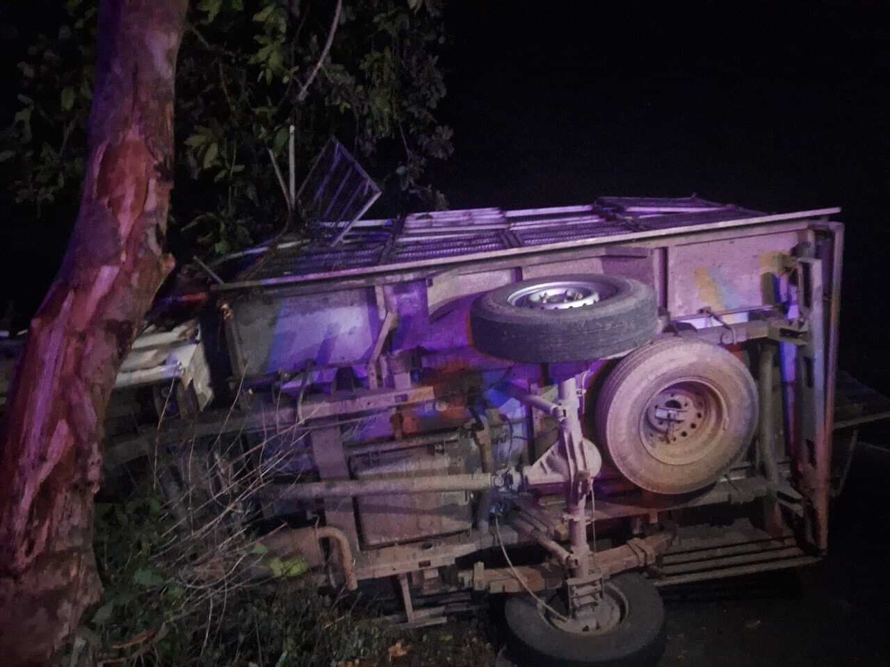 सारवां: पेड़ से टकराकर पलटी पिकअप, तीन घायल