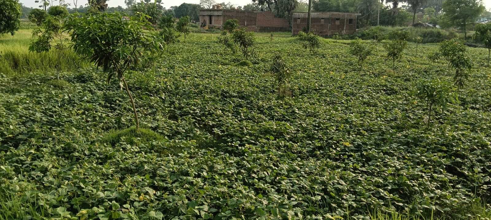 बारिश से मौसम हुआ सुहाना, गर्मी से लोगों को मिली राहत