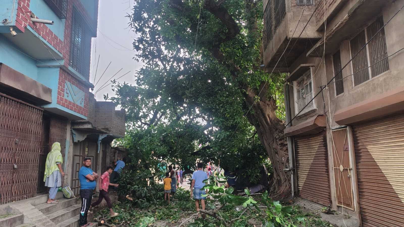 आंधी-तूफान. पेड़ गिरने और तार टूटने से घंटों ठप रही बिजली आपूर्ति, 15 घंटे बाद दो फीडरों में हुई बहाल