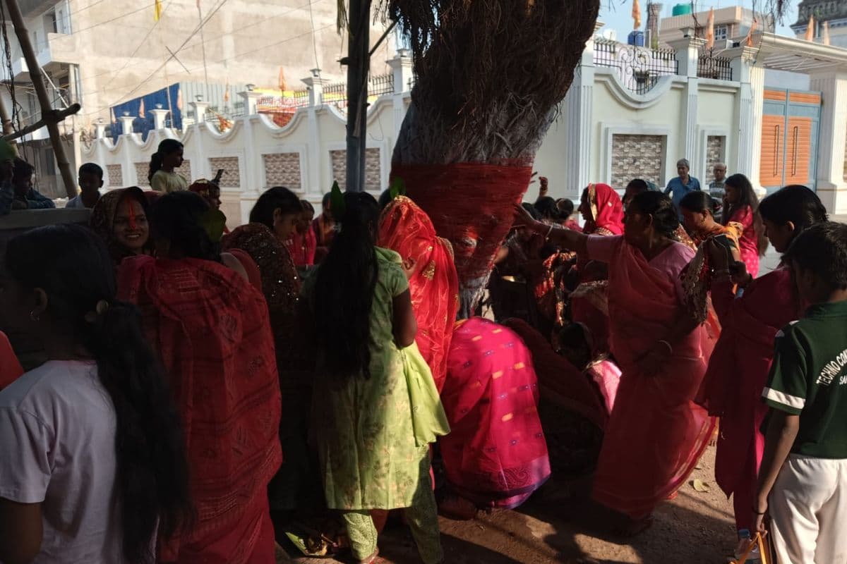 vat savitri sahibganj