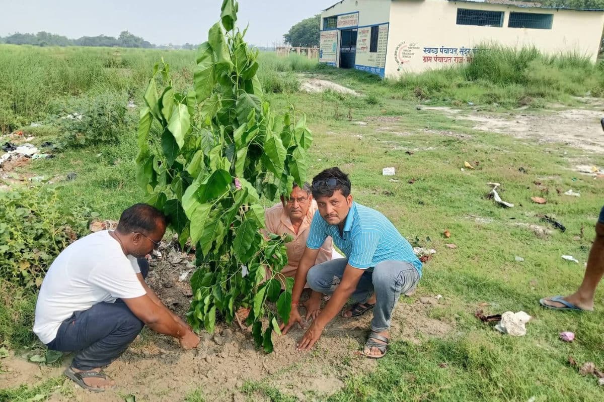 गोपालगंज में विश्व पर्यावरण दिवस पर मांझा पूर्वी पंचायत में हुआ वृक्षारोपण, संरक्षण का लिया संकल्प