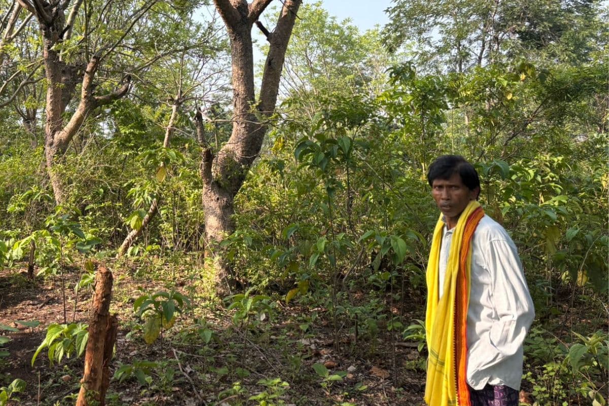 Ranchi: 29 वर्षों से पर्यावरण संरक्षण के लिए पौधारोपण कर रहे हैं राखोहरि महतो, उगा चुके अपना जंगल