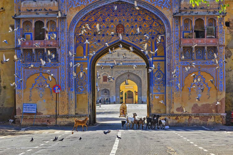 राजस्थान में कोरोना के 27 नये मामले सामने आये, 11 तबलीगी जमात से जुड़े लोग