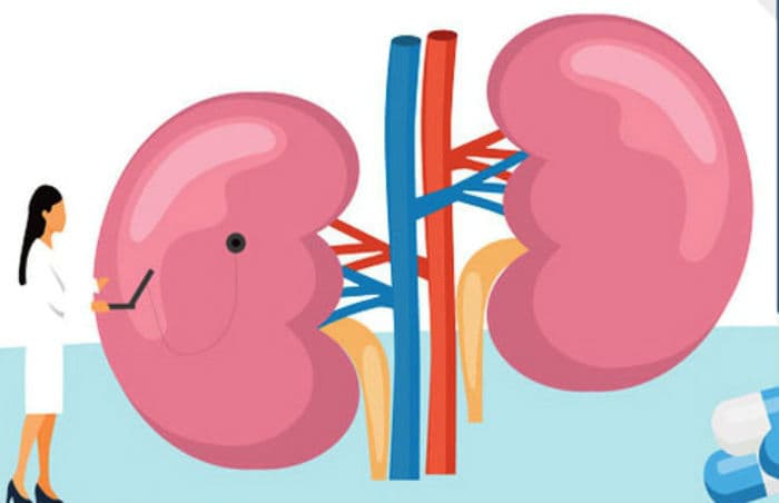 Kidney Precaution: कम पानी पीने, ज्यादा नमक खाने या पेशाब रोकने की है आदत तो हो जाएं सावधान