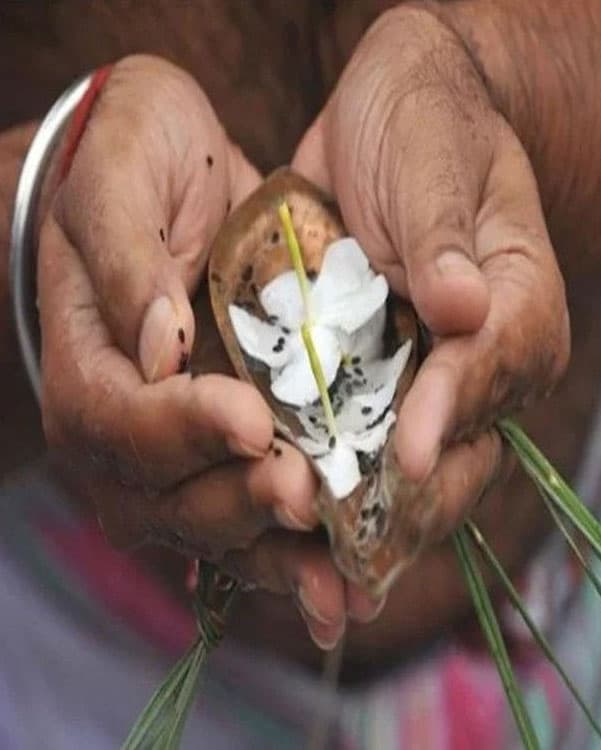 पितृ पक्ष में भूलकर भी ना करें ये काम, ये 16 दिन श्राद्ध-तर्पण के लिए बेहद खास