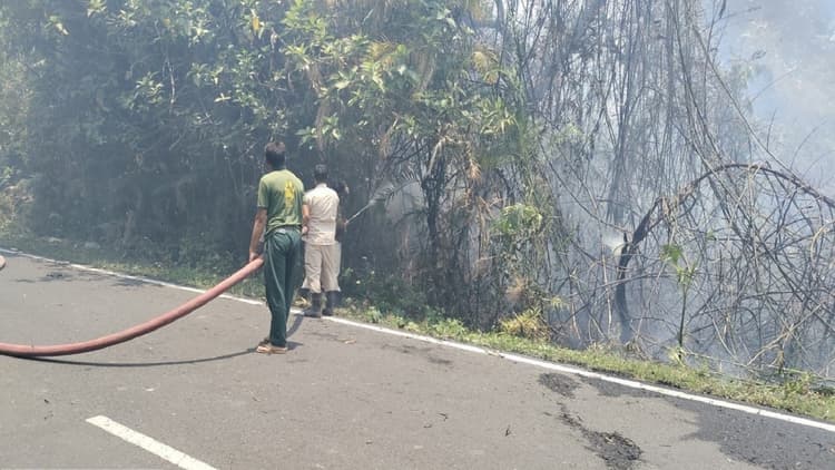 VTR: जंगल में लगी भीषण आग, बड़ा हिस्सा जलकर राख, बचने के लिए गांव में घुस रहे जंगली जानवर