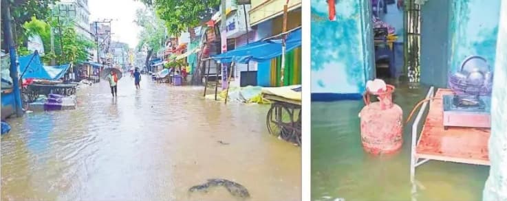 Snakes: सांपों से बचने के लिए जरूर करें ये काम, घर के आसपास नहीं दिखेंगे जहरीले सर्प