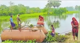 Shukra Dosh Ke Upay: आज करें शुक ग्रह शांति के ये आसान उपाय, धन-वैभव से भरा रहेगा जीवन