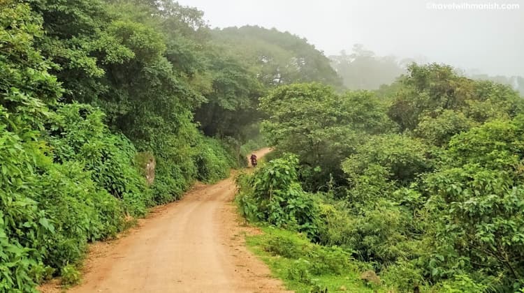 बिहारशरीफ के वन भूमि पर लगातार हो रहे अवैध कब्जे