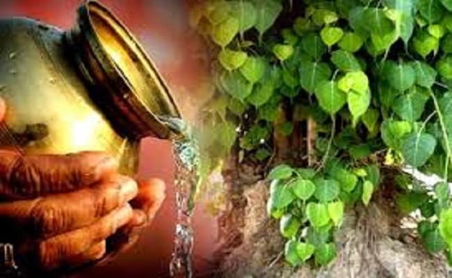 Shani Dosh Upay: शनिदेव की पूजा के समय इन बातों का रखना चाहिए ध्यान, जानिए शनि दोष कम करने के लिए विशेष उपाय