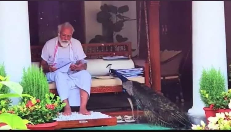 मोर विवाद: पीएम मोदी से पहले लालू प्रसाद यादव पर भी उठ चुकी हैं अंगुलियां