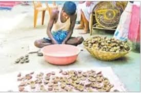 Amazon को भाया बिहार का हर्बल दीया, गाय के गोबर, इमली के बीज, मेथी से बने दीये अब पूरी दुनिया में फैलायेंगे प्रकाश