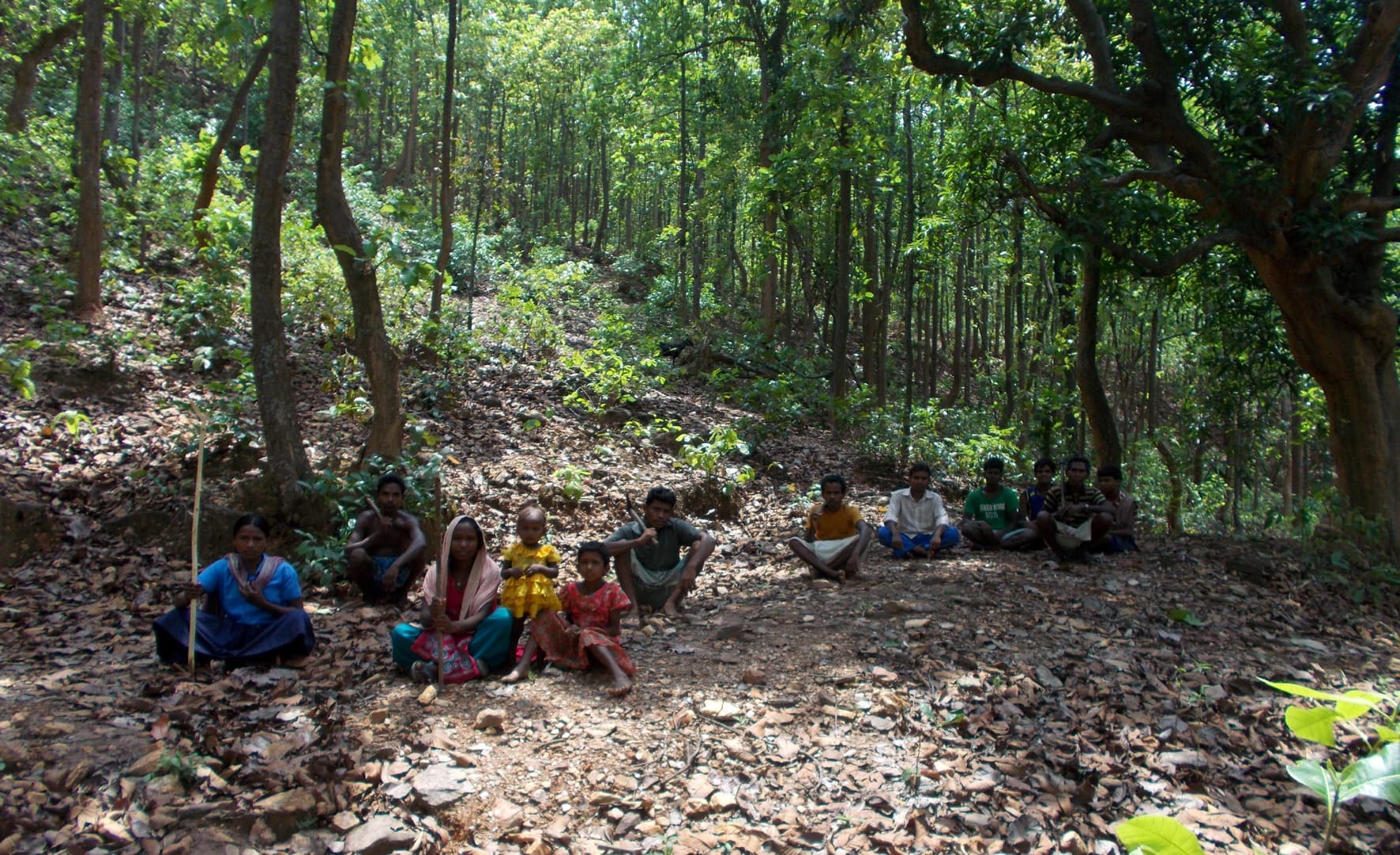 माफियाओं की आरी रोक 39 मौजा में लायी हरियाली