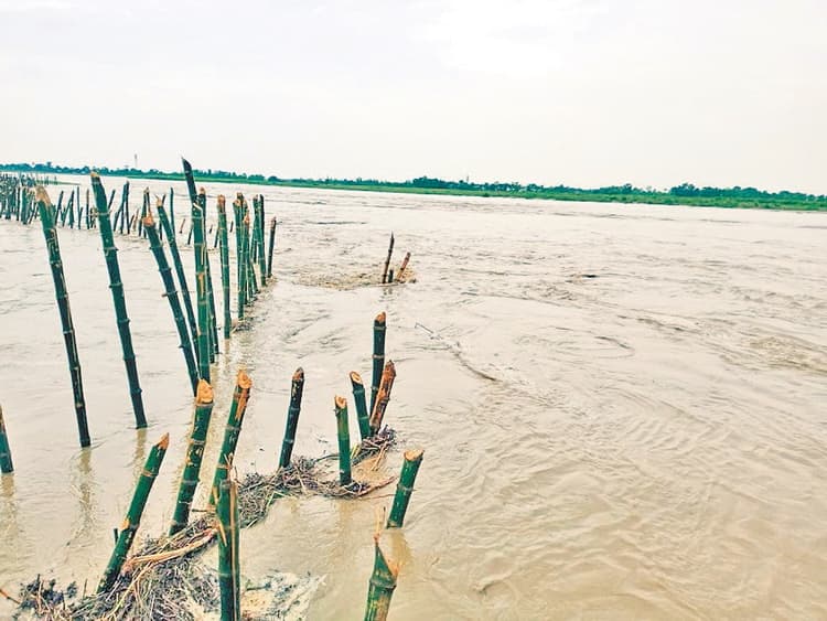 बाढ़ का कहर : बारिश और भपसा नदी का जलस्तर बढ़ने से कई इलाकों में फैला पानी