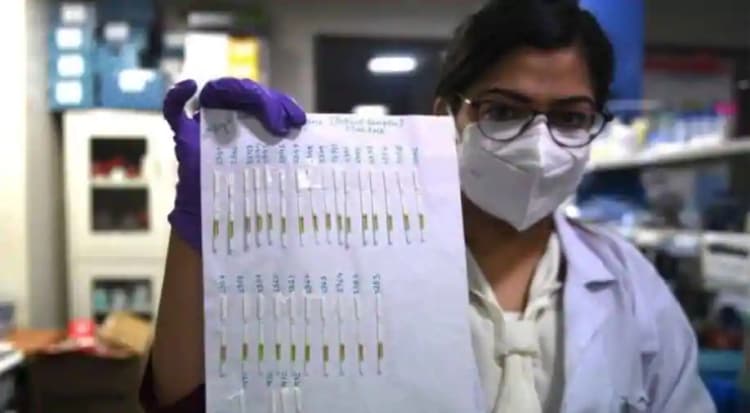 Coronavirus in Bihar : लगातार बढ़ रहा है कोरोना का संक्रमण, नौ डॉक्टरों समेत सामने आये 183 नये मामले