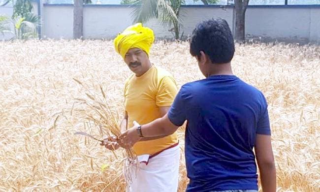 आयुक्त बने किसान, गेहूं की फसल काट कर किसानों को दिया संदेश, 'किसान ही अन्नदाता'