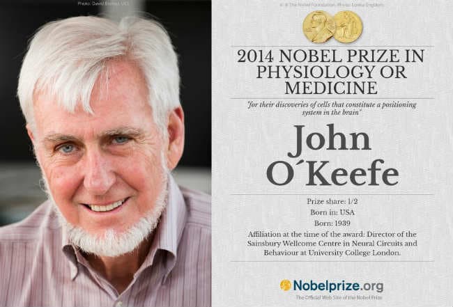 मस्तिष्क की कार्यप्रणाली के संबंध में नयी खोज के लिए मेडिसिन का नोबेल जॉन ओ किफे,एडवर्ड मोजर और ब्रिट मोजर को