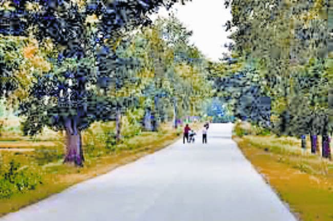 कॉरपोरेट और कॉन्ट्रैक्टर ने मिल कर बनाया लूटतंत्र