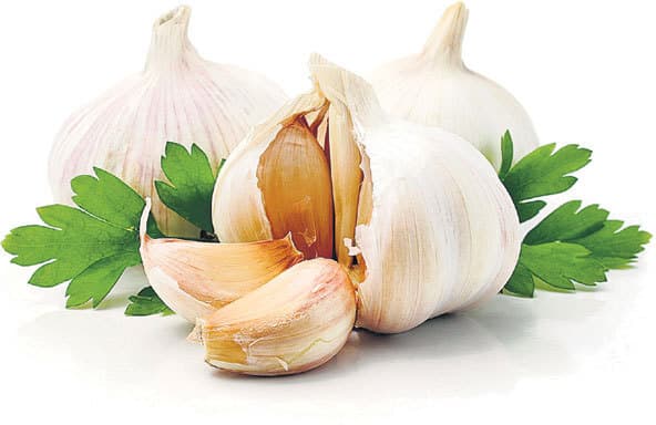 सर्दियों में संक्रमण से बचाता है लहसुन