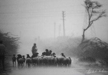 हर किसी को है मानसून की प्रतीक्षा