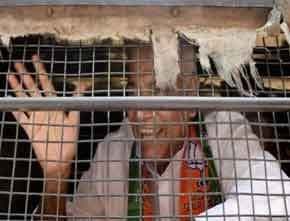 यशवंत सिन्हा समेत सभी आज रिहा होंगे