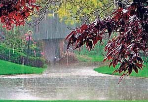 मॉनसून देगा दगा! : जून महीने में पिछले सौ साल में सबसे कम बारिश