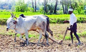 टिकाऊ खेती किसानों के लिए लाभकारी