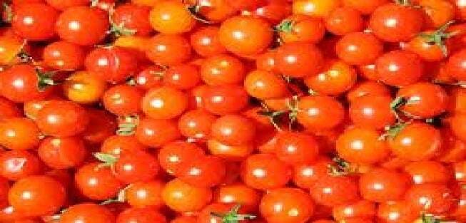 कम नहीं हो रहा है टमाटर का भाव