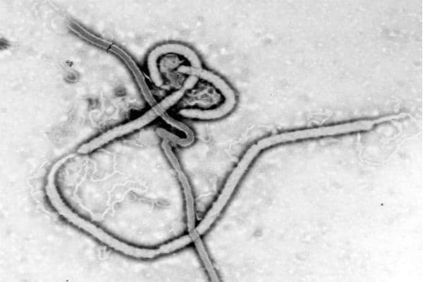 इबोला से प्रभावित लाइबेरिया में नर्सें हडताल पर