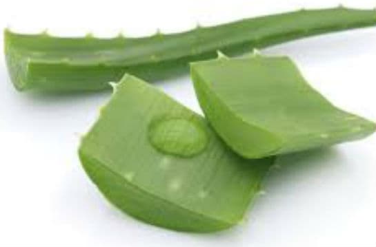 ऐलोवेरा: त्वचा रहेगी हमेशा जवां