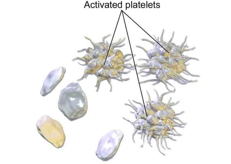 प्लेटलेट्स करेंगी कैंसर का इलाज