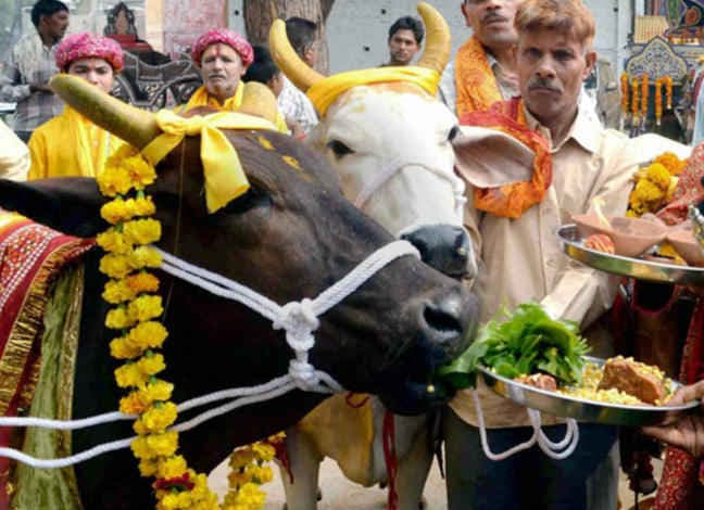 मुसलमान परिवार ने मनाया गाय का जन्मदिन, काटा 10 किलो का केक