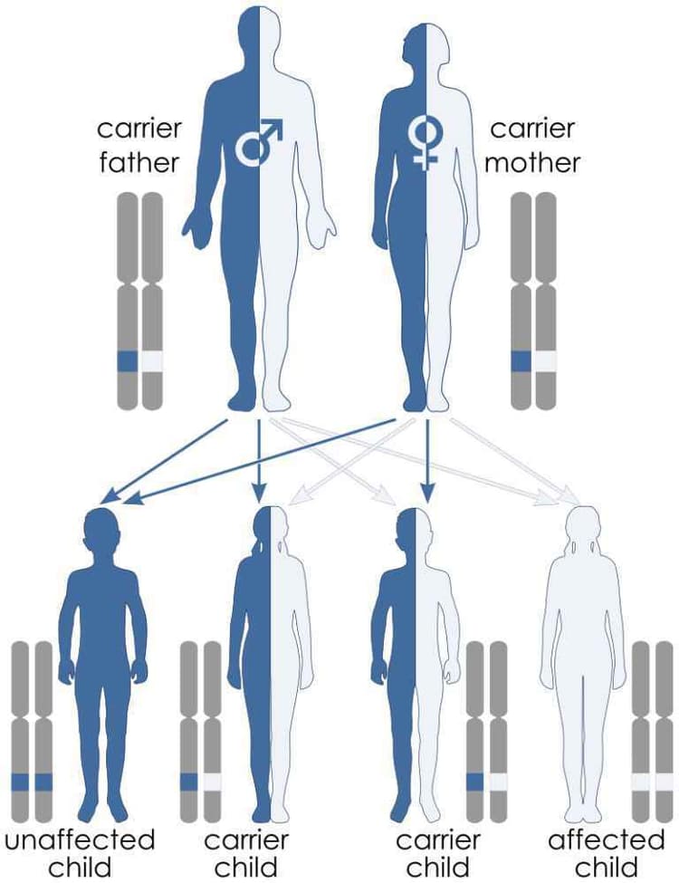 कौन है हम-सा...हमारे अन्दर ?