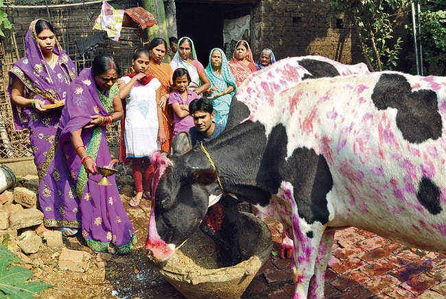आज चित्रगुप्त पूजा व भैया दूज