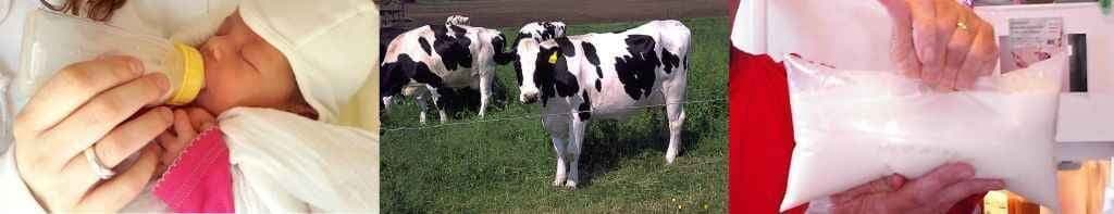 गाय का दूध कहीं आपके बच्चे को मोटा न कर दे!