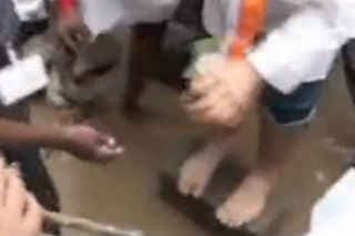 जब नारायणसामी ने उठाई राहुल गांधी की चप्पल