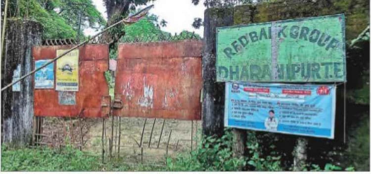 चाय बागान : चाय की चुस्कियों में दबी श्रमिकों की सिसकी