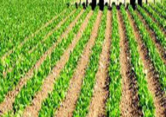 सरकार ने किसानों के लिए दो एप्प शुरू किये