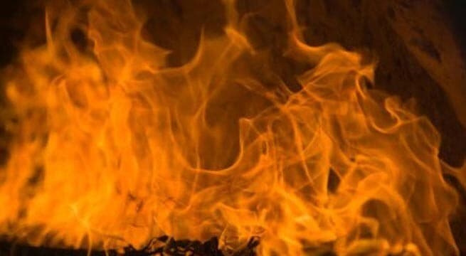 बऊ बाजार की प्लाइवुड दुकान में लगी आग, घटना स्थल पर पहुंची दमकल की 22 गाड़ियां