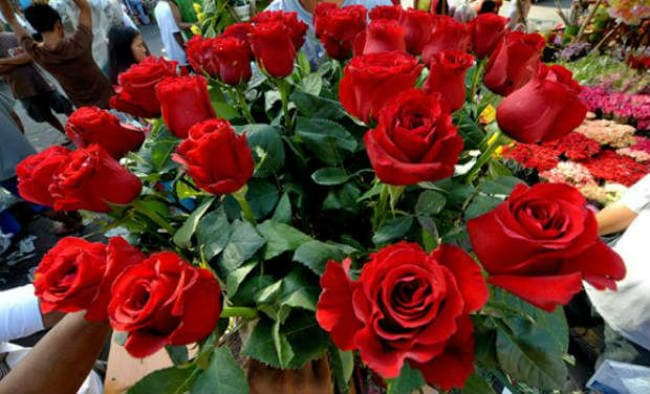 वैलेनटाइन्स डे पर भारत से 1 लाख गुलाब आयात करेगा नेपाल