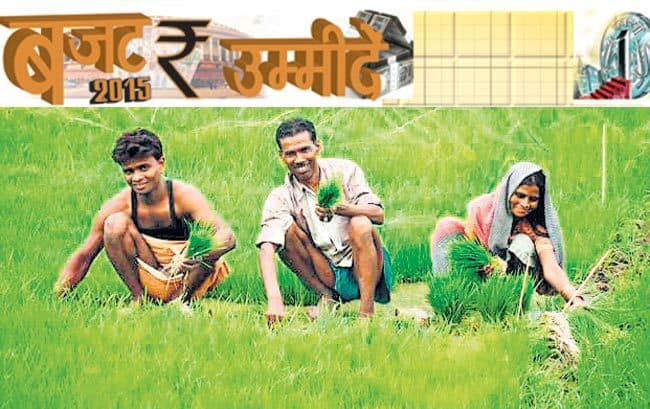 क्या इस बजट में भी उपेक्षित रहेंगे खेती और गांव!