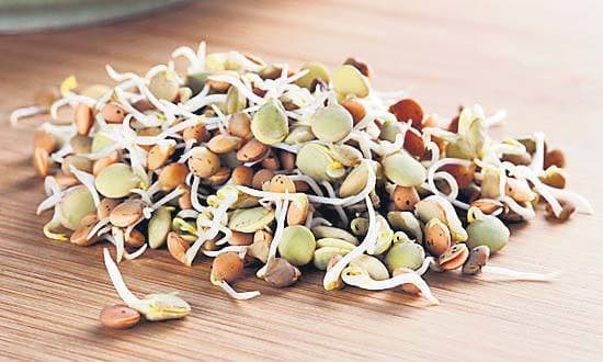 अंकुरित अनाज रखते हैं हेल्दी