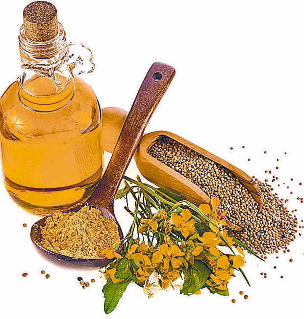 सरसों का हर दाना है गुणकारी... जानें इसके लाभ